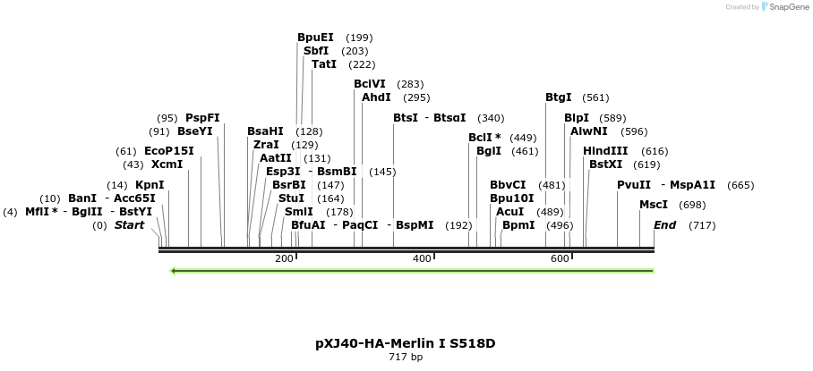 25162_map