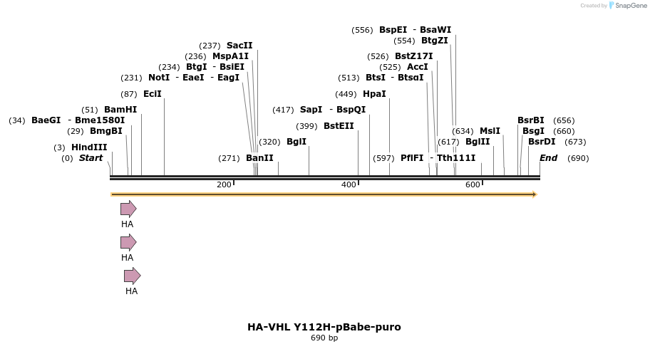25166_map