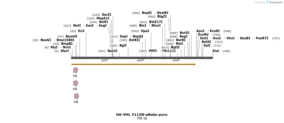 25167_map