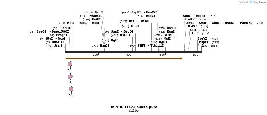 25169_map