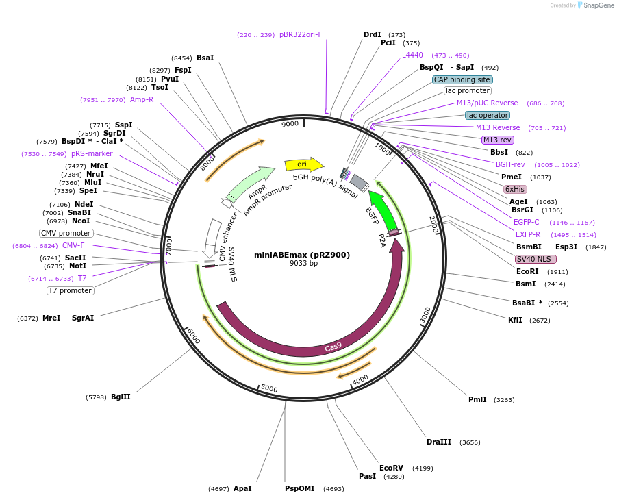 251690_map