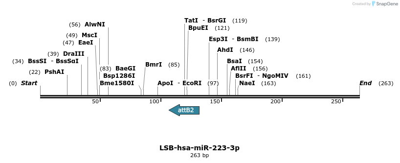 251699_map