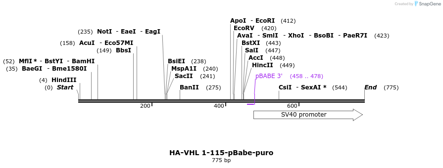 25172_map