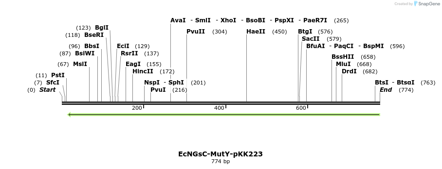 251736_map