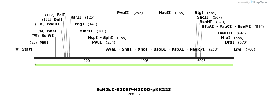 251744_map