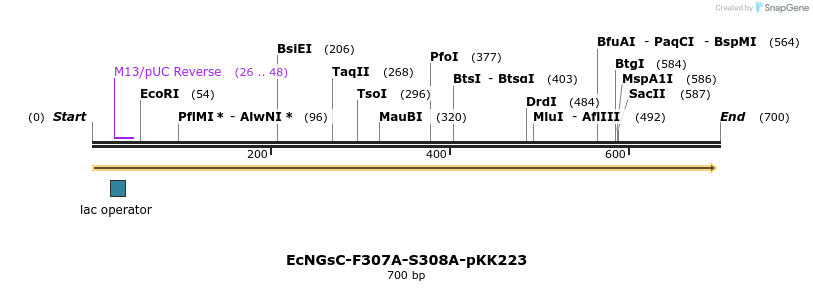 251746_map
