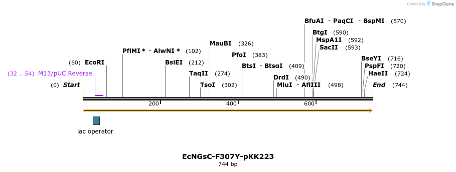 251748_map