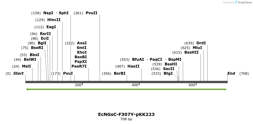 251749_map