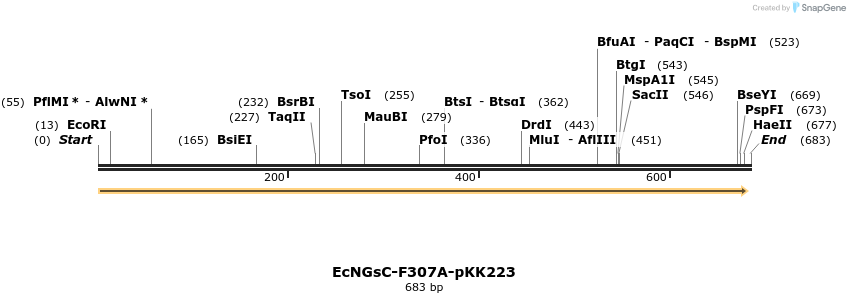 251751_map
