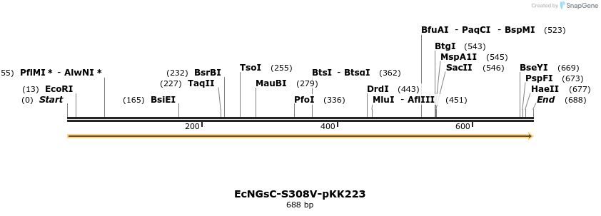 251756_map