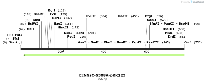 251759_map
