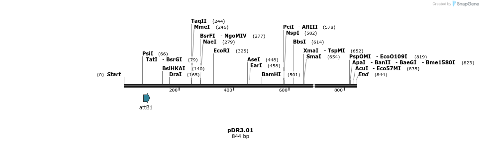 25176_map