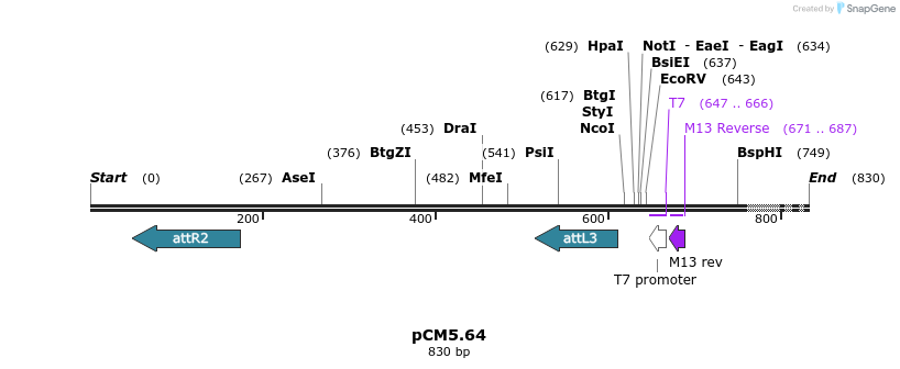 25179_map