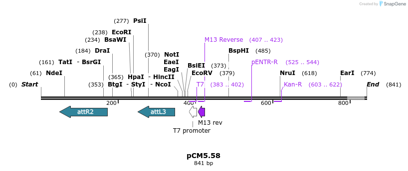25183_map