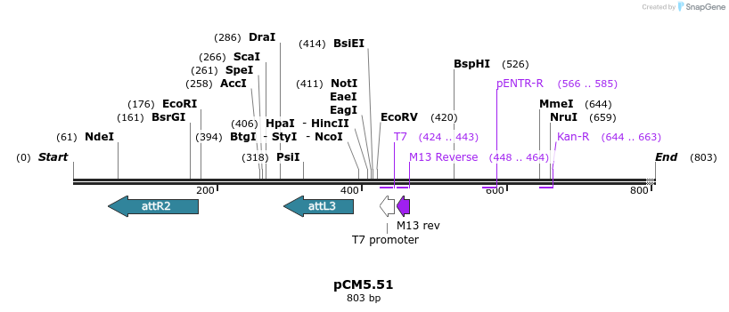 25189_map