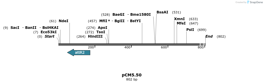 25191_map