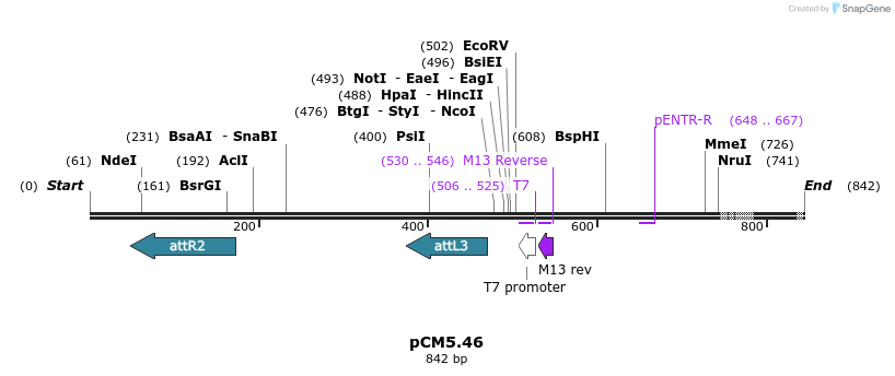 25193_map