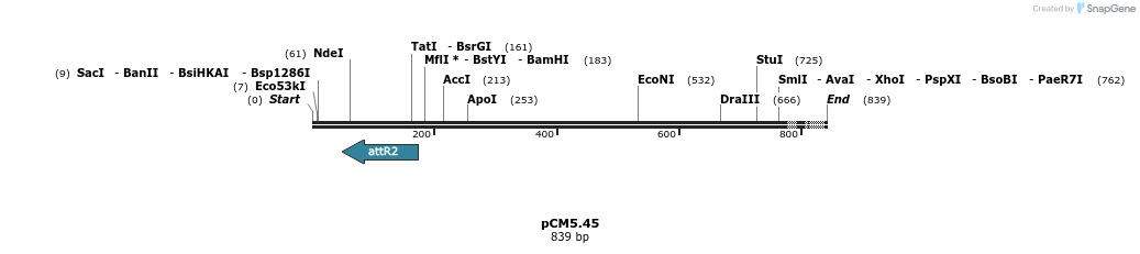 25194_map
