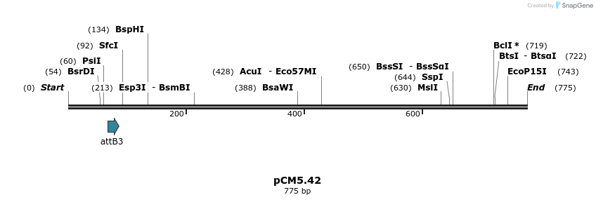 25196_map