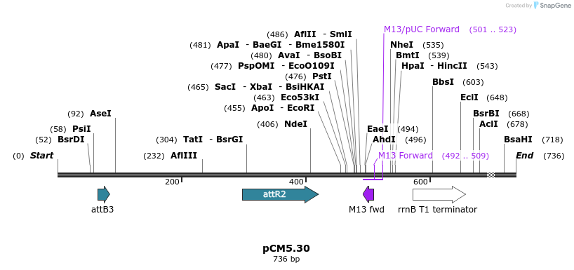 25206_map