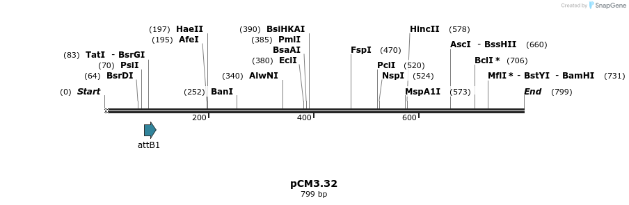 25209_map