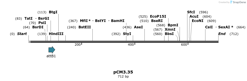 25210_map
