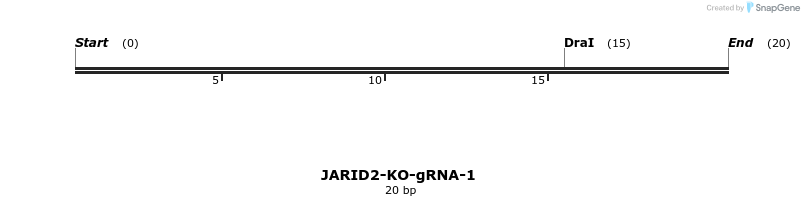 252117_map