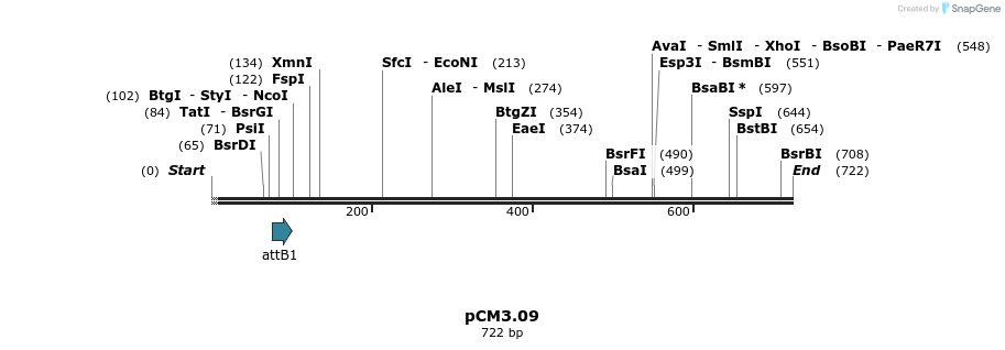 25212_map