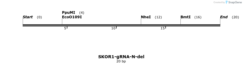 252124_map