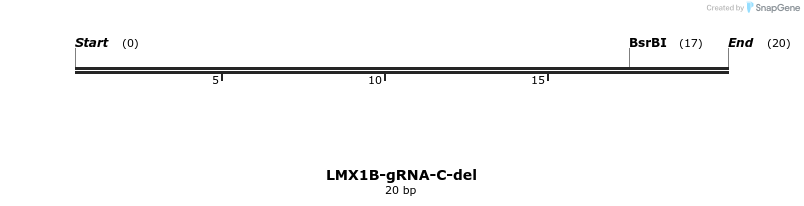 252129_map