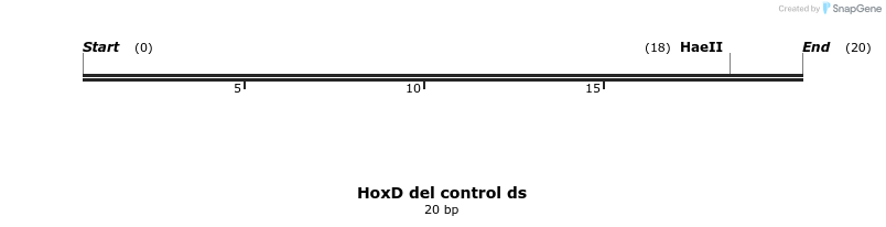 252133_map