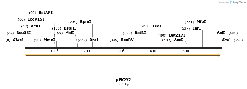 25214_map