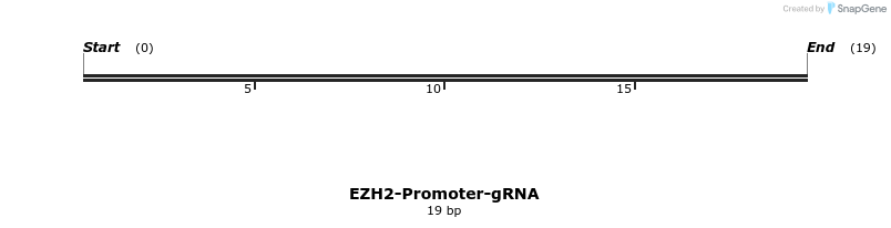 252148_map