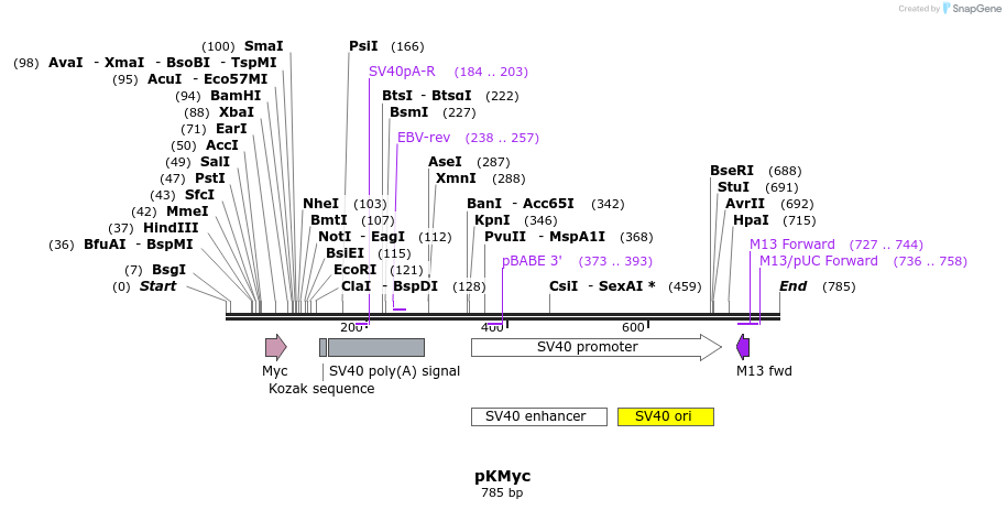 25218_map