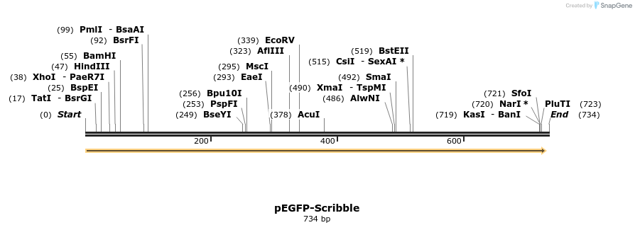 25220_map