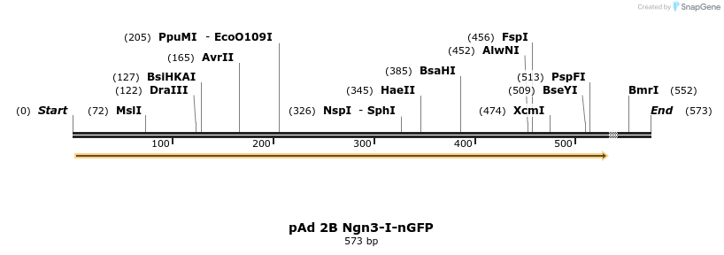 25221_map