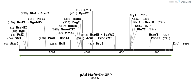 25223_map