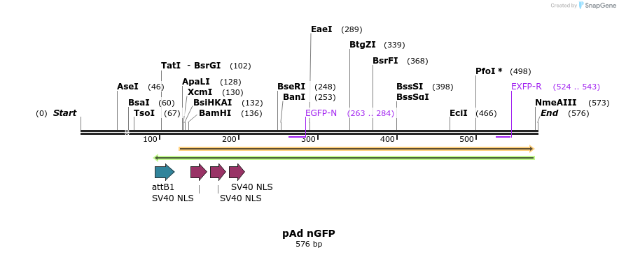 25224_map