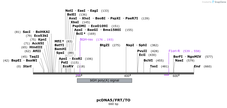 25226_map