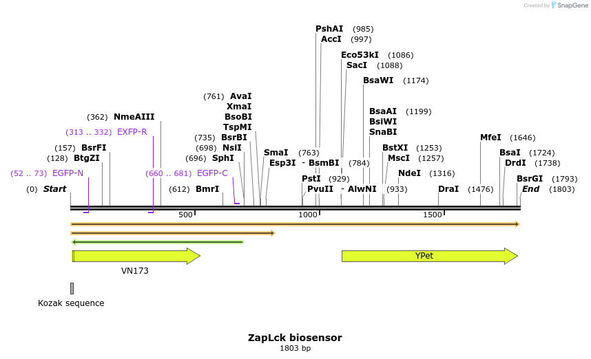 252288_map