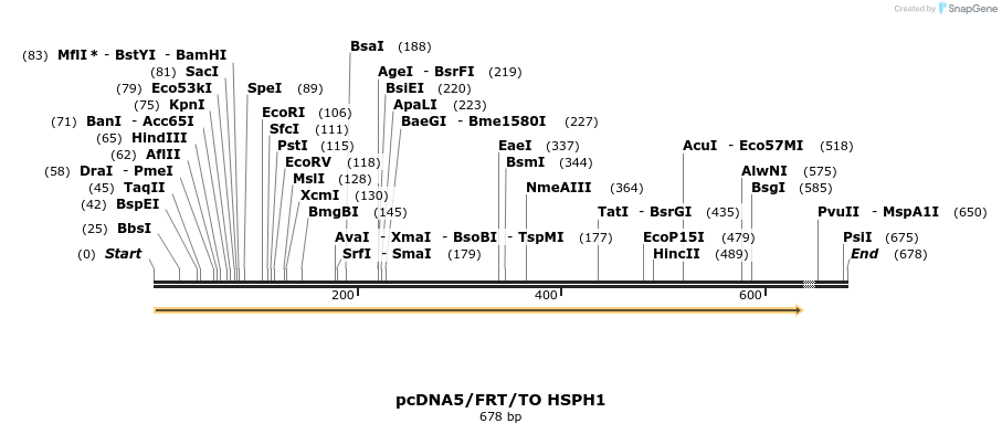 25230_map