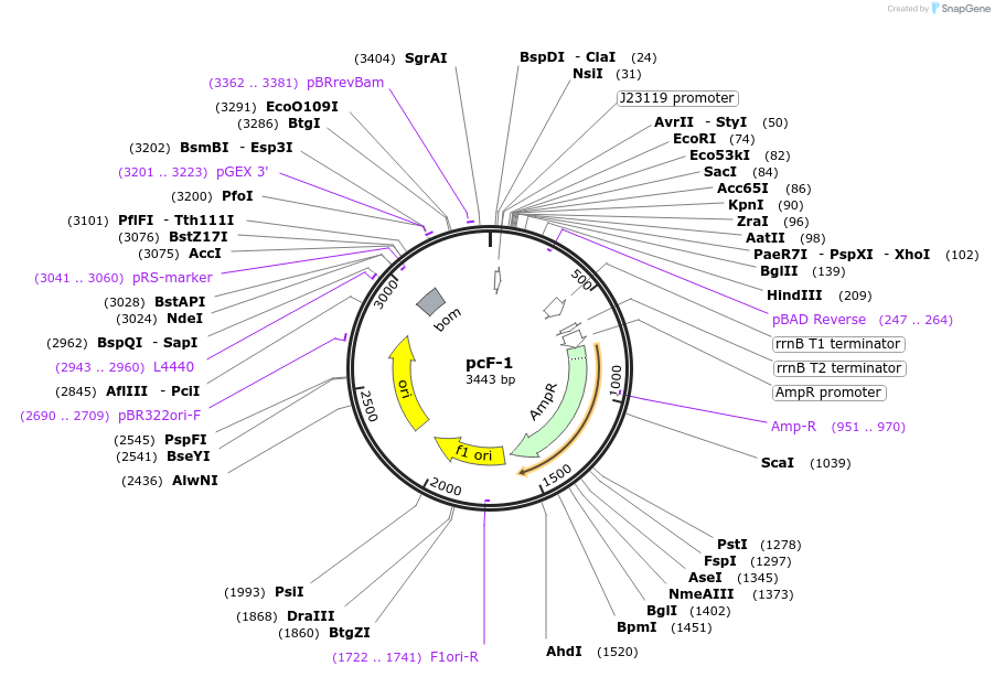 252341_map