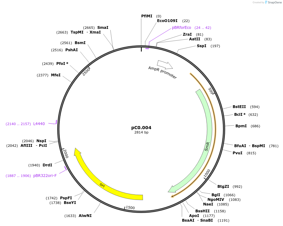 119669-plasmid-map-sequence-id-252350