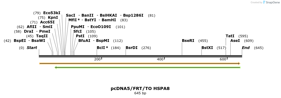 25237_map