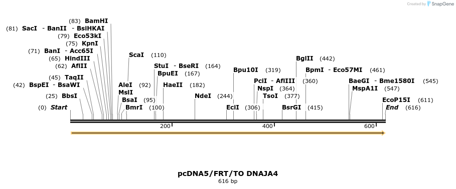 25244_map