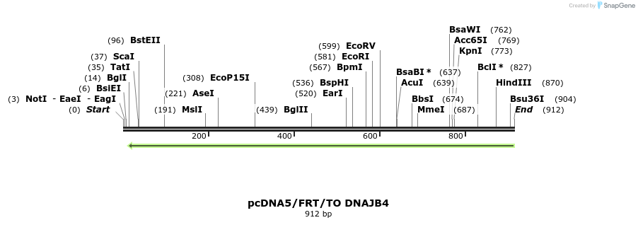 25249_map