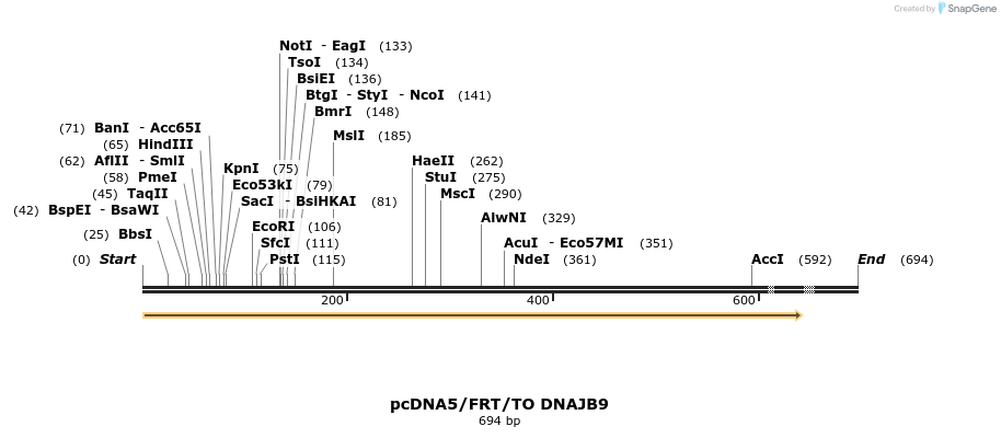 25255_map