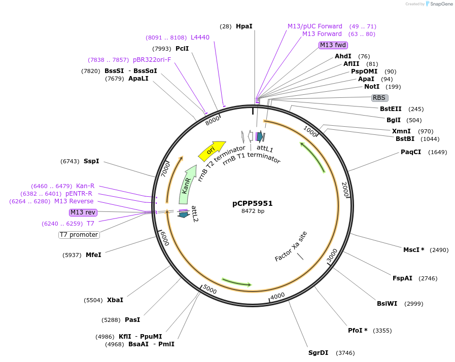 252552_map