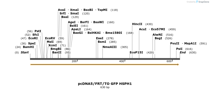 25257_map