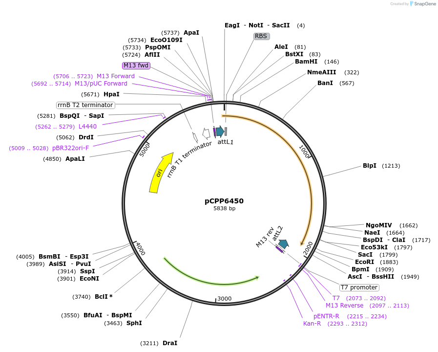 252571_map